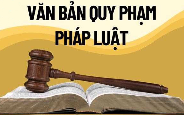 Bảo đảm chất lượng các dự án luật, đẩy nhanh tiến độ soạn thảo văn bản quy định chi tiết