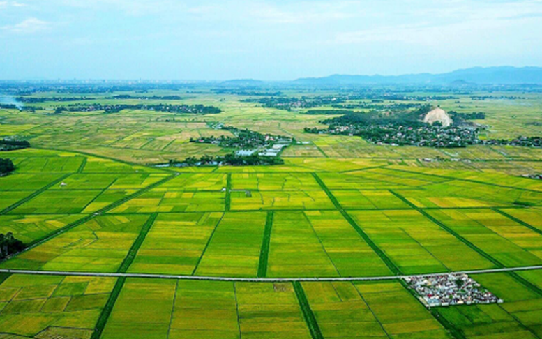 Tiếp tục đẩy mạnh phân cấp, phân quyền về thủ tục hành chính cho địa phương- Ảnh 3. Quy định về phân cấp, phân quyền, phân định thẩm quyền trong lĩnh vực đất đai