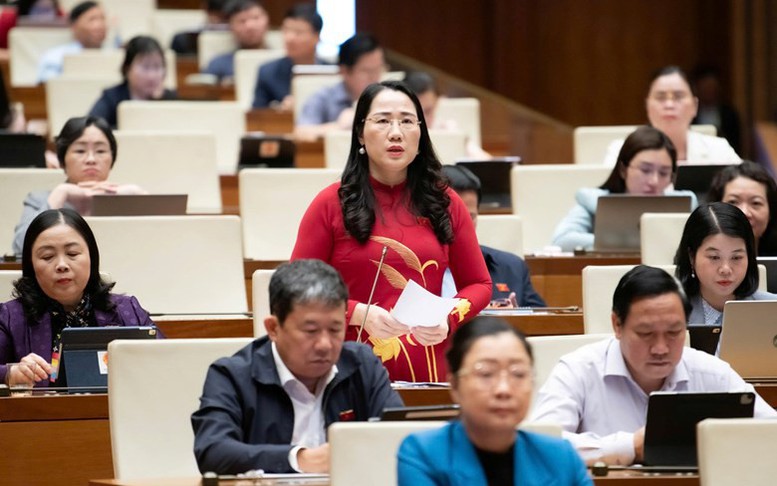 Đại biểu Quốc hội đề nghị tấn công mạnh tội phạm công nghệ cao, hàng giả, thực phẩm bẩn