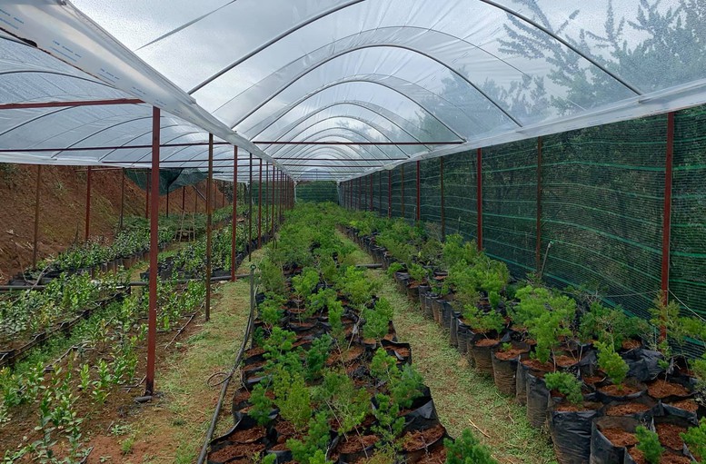 Chặn triệt để nông sản, thực phẩm 'bẩn'