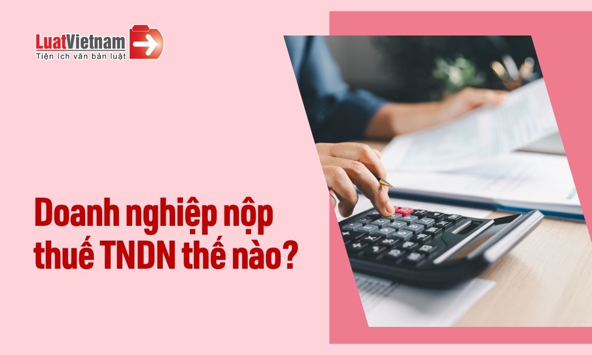 Doanh nghiệp nộp thuế thế nào theo Luật Thuế TNDN 2025?