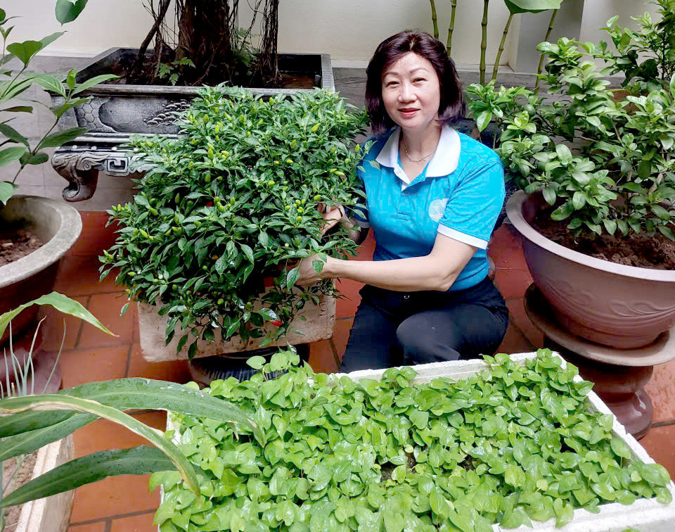 Gieo mầm xanh, lan tỏa chuyển đổi số từ mô hình “Khu vườn tôi yêu”