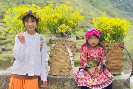 Luật Dân số năm 2025 chuyển trọng tâm chính sách từ kế hoạch hóa gia đình sang dân số và phát triển