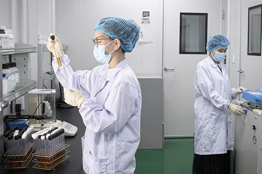 Triển khai kịp thời, hiệu quả Nghị quyết số 07 của HĐND thành phố