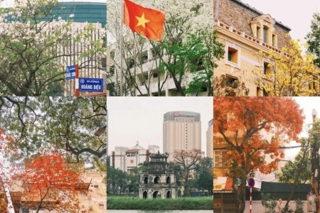 "Tầm nhìn mới, tư duy mới, hành động mới" - Động lực xây dựng chính quyền Thủ đô Hà Nội kiến tạo, phục vụ