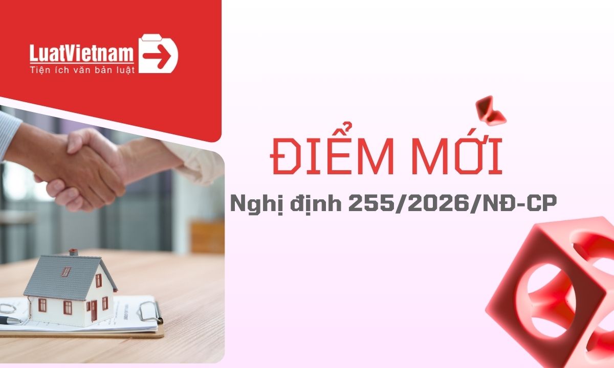 Điểm mới Nghị định 255/2026/NĐ-CP về quản lý thuế với giao dịch liên kết