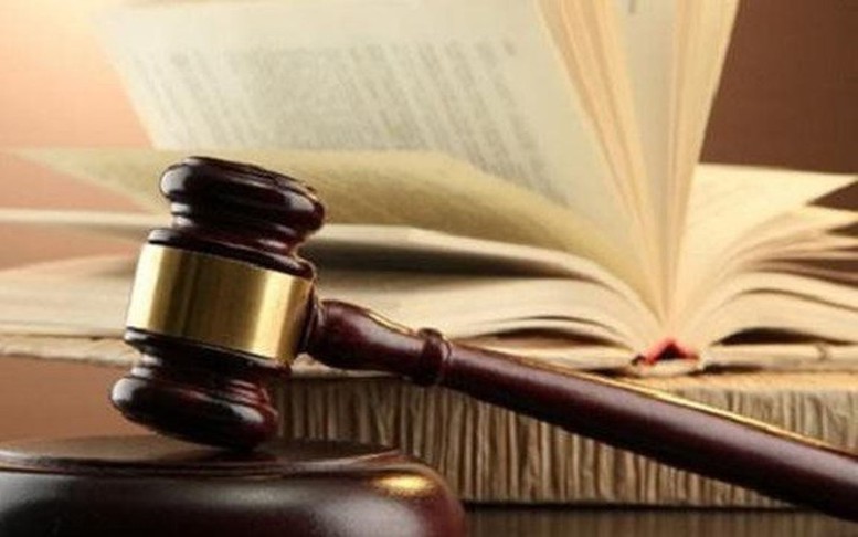 Phân công soạn thảo 22 dự án Luật, pháp lệnh, nghị quyết  - Ảnh 4.